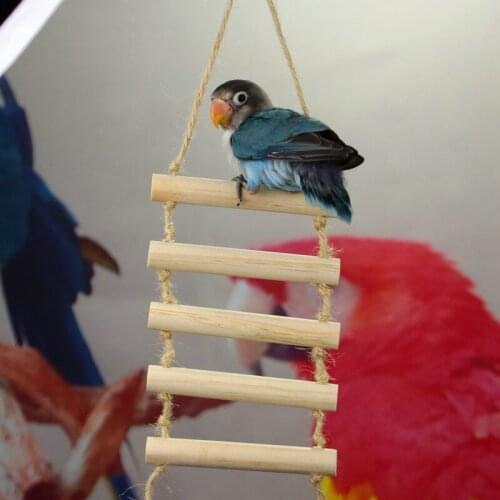 Quality New Style Small Parrot Rat Toy Bridge Ladder Hamster Bird Cage Accessories New Promotion Free Shipping DA