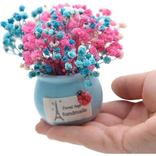 Mini Immortal Flower Gypsophila Dried Flower Small Vase Home Desk Car Potted Decoration Birthday Gift Decorations for Home