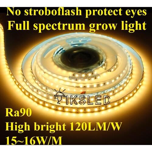 Ra90 5m 600 LED 2835 Full spectrum LED Strip 5m,24V 12V Flexible Light 120 LED/m High brightness LED Strip White/Warm White