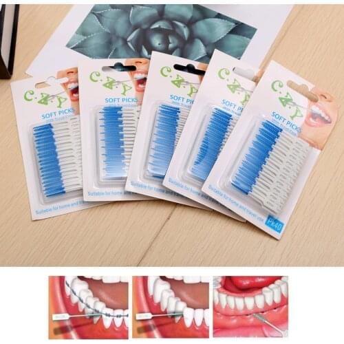 200pcs/Box Plastic Dental Floss Oral Care Interdental Brush Oral Clean Teeth Stick Toothpicks Floss Pick
