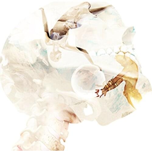 Ghost Card (Gimmicks and Online Instructions) by Fraser Parker Card Magic Tricks Illusions Street For Professional Magicians