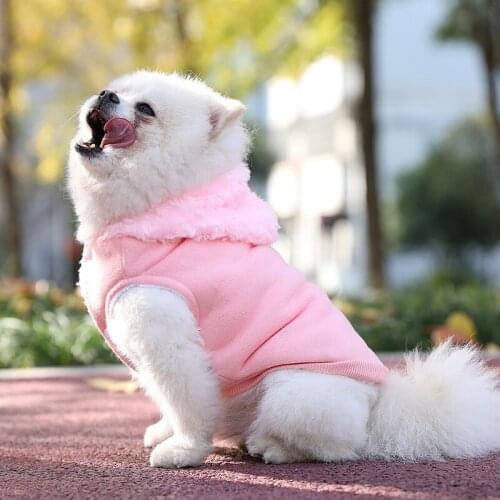 Puppy Clothes Winter Pet Clothes Winter Small Puppies Thick Autumn And Winter Clothes