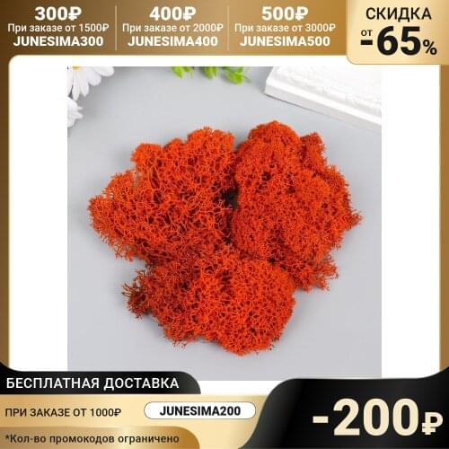 Товары для праздника Aqua Story China At AliExpress