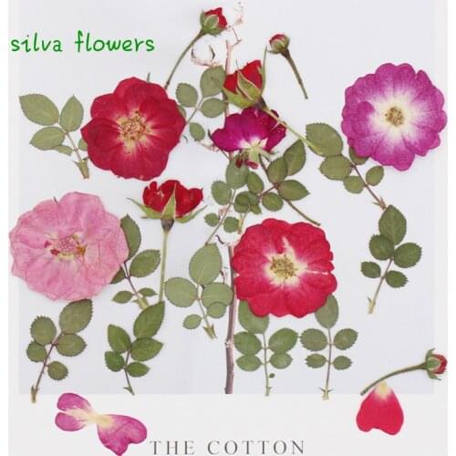 Rose Real Leaf Dry Flower Embossed Specimen DIY Manual Glue Dripping Candle Making Photo Frame Candles Mothers Day New Arrivals