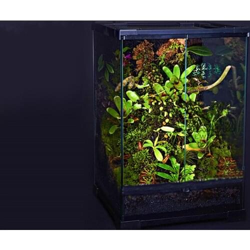 Geometric glass box lizard snake turtle chameleon breeding reptile box ecological landscaping rainforest tank terrarium large