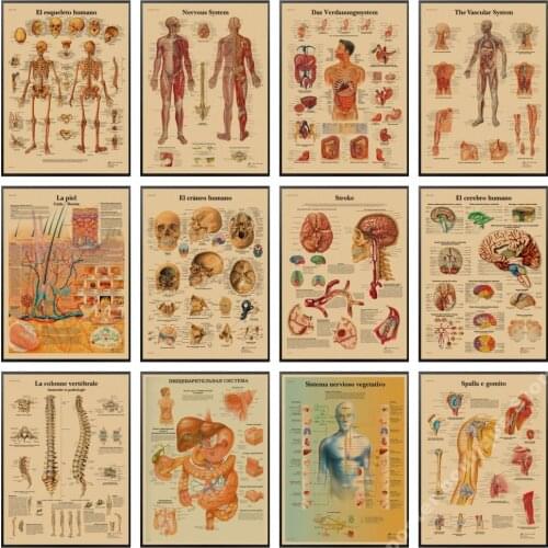 The Body Structure Skeleton Nervous System Vintage Poster Medical Decoracion Painting Wall Art Kraft Paper Wall Stickers