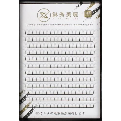 Grafting World 240 Pieces 5D Long Stem Premade Volume Fans Natural Soft Individual Eyelashes for Professional Make Up