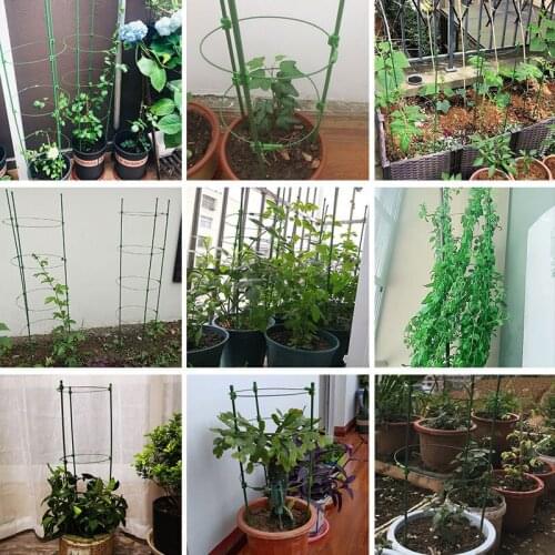 1PCS 45cm 60cm Corrosion Bending Resistance Long Life Adjustable Environmental Protection Plant Climbing Vine Support