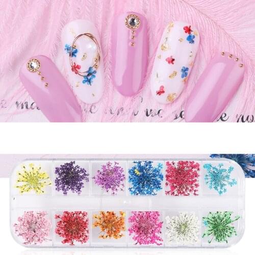 Nail Dry Flower Star Sunflower Daffodil Five Petals Small Dry Flower For Nail decoration florets Beauty Nail Dry Flower 1Box