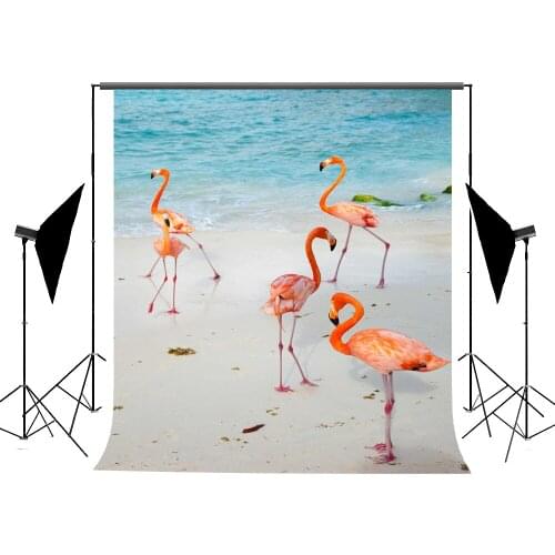 VinylBDS 200x300cm Children Fotografia Profissional Flamingo Background Photos Backdrop Seaside Photo Backdrop