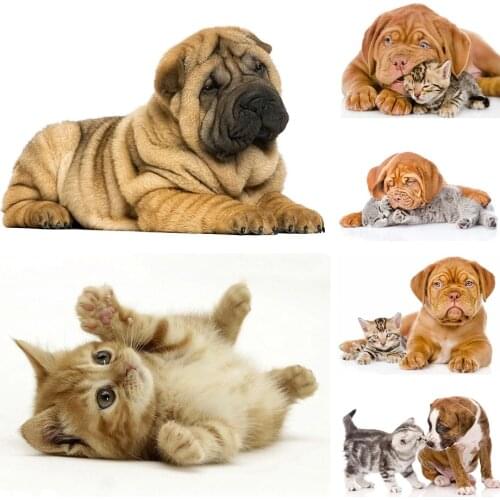 5D DIY Diamond Painting Animal Cross Stitch Kit Full Diamond Embroidery Rhinestone Picture Inlaid Mosaic Home Decoration Gift