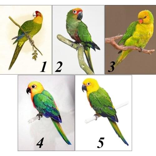 2016 3D DIY Diamond Painting Rhinestones In Settings Hand Embroidery Cross Stitch Creative Gift Home Decor Parrot Jungle Island