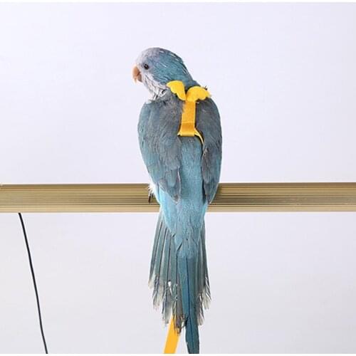 Anti-bite Flying Training Rope Adjustable Parrots Bird Harness Leash Training Traction Outdoor Flying Harness Leash