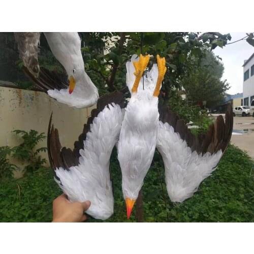 Zilins Get Rid of Seagull! Realistic Dead Seagull Decoy Lifesize Large Feathered Scare Deterrent Seagull 48cm Length