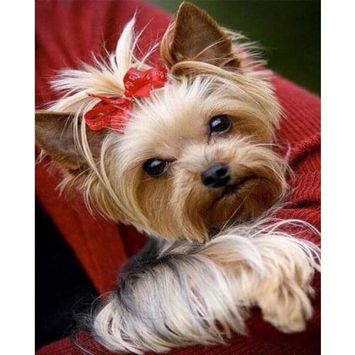 Full Square round Drill 5D DIY Diamond Painting Yorkshire Terrier Cute Pet Dogs Embroidery Beads Cross Stitch Mosaic Decor TY654