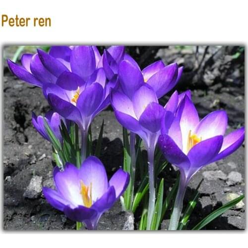 Diamond Embroidery Diy Diamond Painting blooming flowers Hot Sale Top Fashion Sewing Kit full Square resin Diamond Mosaic