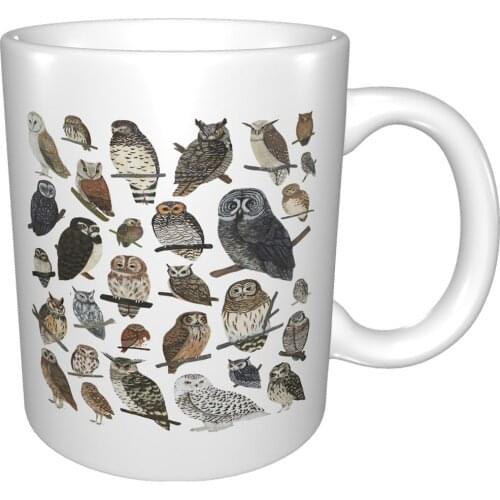 Owls Antique Animal Drawingst 2021 New Mug Coffee Cup Coffee Mug Copper Cookware Cafe Vase