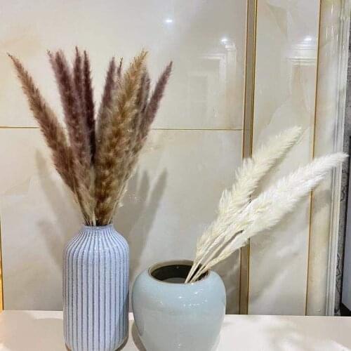 Real Wheat Decoration Natural Pampas Rabbit Pampas Grass Decor White Pink Wedding Dried Dlowers Dome Decor Free Shipping