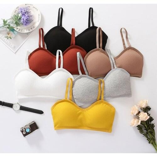 Padded Bralette Sexy Push Up Bras For Women Wire Free Brassiere Seamless Underwear Female Bra Sexy Lingerie Intimates