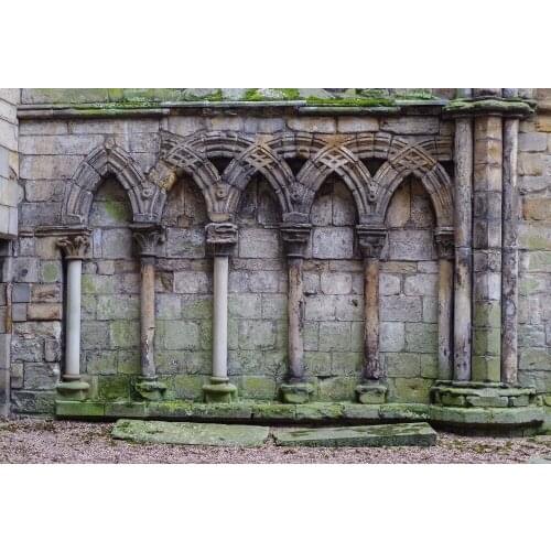 VinylBDS Photography Backdrops Retro Building For Wedding Background No Wrinklesphotographic Studio Background