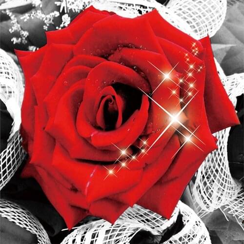 Square Wall Painting Nordic Modern Beautiful Red Rose Flower Living Room Bedroom Shop Store Decorative Painting Mural Poster