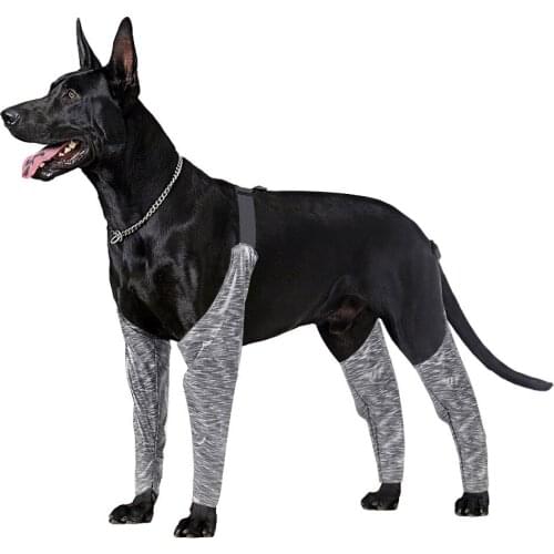 Rabbi tree Men's Briefs