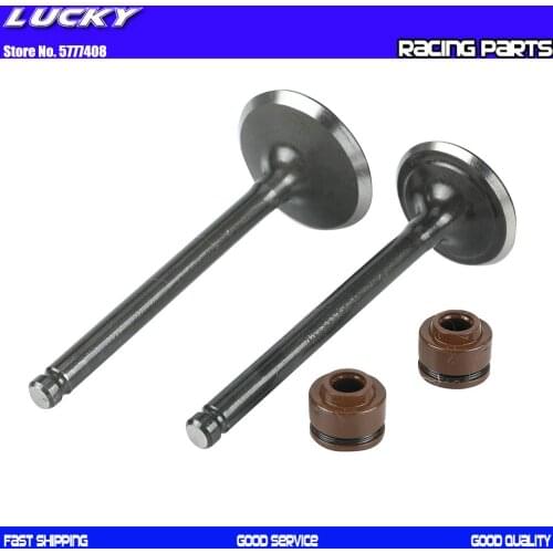 Motorcycle Intake exhaust valves with Oil Sea kit For 52.4mm Bore lifan 125cc Horizontal Engines Dirt Pit Bikes Parts ATV PARTS