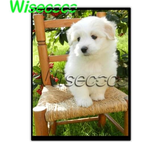 Wisecoco 960x1280 lcd 10.4 inch tft ips display 900 nits sunlight readable resistance car navigation screen HSD104JPW1-A10