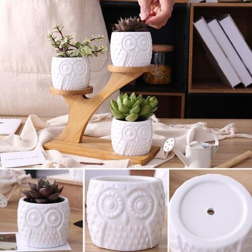 Cute Owl Pot Succulent Cactus Planter Flowerpot Set With Bamboo Shelf Tray Decor