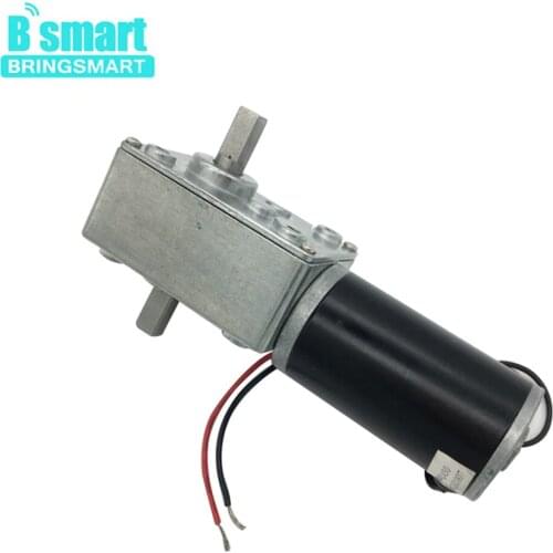 Bringsmart A58SW31ZYS 12V DC Worm Motor Reversed Geared Motor Double Shaft 1.6-70kg.cm High Torque Reducter Motor 24V Gear Motor