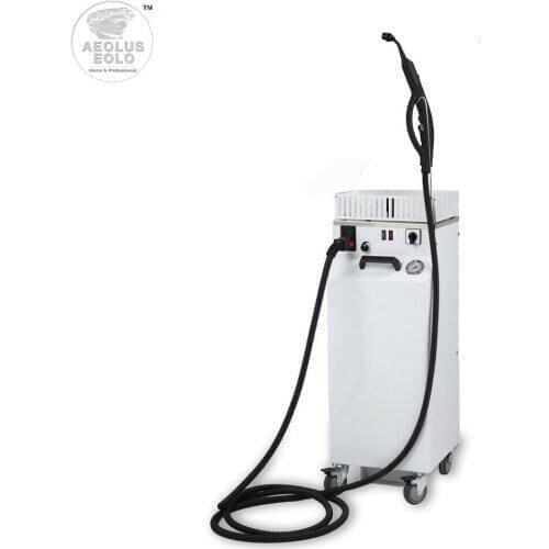 Professional Steam Generator Station Cleaning Sanitizing Automatic Refilling AV05 MRA