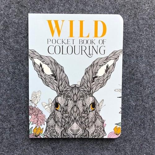 JL FASHION Color And Shape Educational Toys