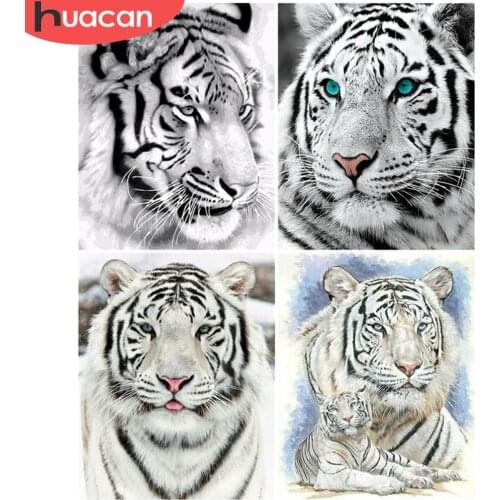 HUACAN Paint By Number Tiger Animal Acrylic Modern Wall Art Oil Painting By Numbers On Canvas For Adults Unique Gifts