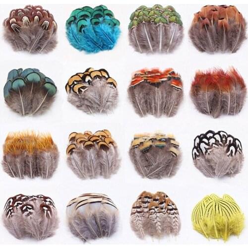 Wholesale Natural Pecock Pheasant Feathers For DIY Crafts Jewelry Making Accessories Small Chicken Goose Plumes Home Decoration