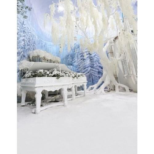 Fotografia wonderland fairy photo backgrounds vinyl ice world piano backdrops photography of photo studio photophones S-2318