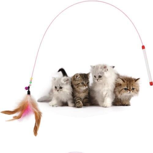 Hot 10pcs Pet cat toy Cute Design Steel Wire Feather Teaser Wand Plastic Toy for cats Color Multi Products For pet Product