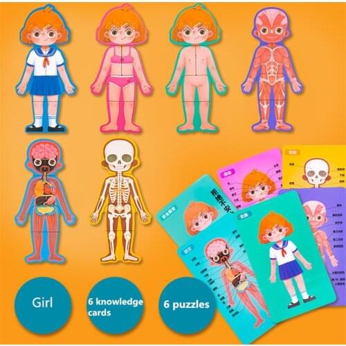 Kid Boby Cognition Toy Set Montessori Human Body Structure Wooden Puzzle Children Biological for 3 Years Old Boys Girl learn toy