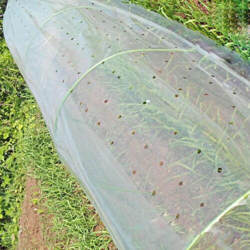 Garden Greenhouse Clear Plastic Film with Breathable hole Vegetable Flower Agricultural Cultivation Transparent Cover Film