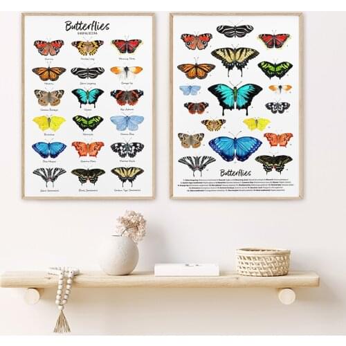 Butterfly Collection Print Animal Poster Colorful Wall Art Canvas Painting Wall Pictures for Living Room Classroom Home Decor