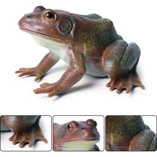 11*13.5*7cm Children cognitive simulation solid animal model ornaments frog bullfrog tree frog frog frog toad wild animal toy