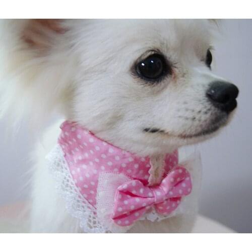 Pet Fashion Neck Collar Small Bell Pet Collar Bib Dog Cat Necklace Decor Home Cute polka dots Lace Bowknot