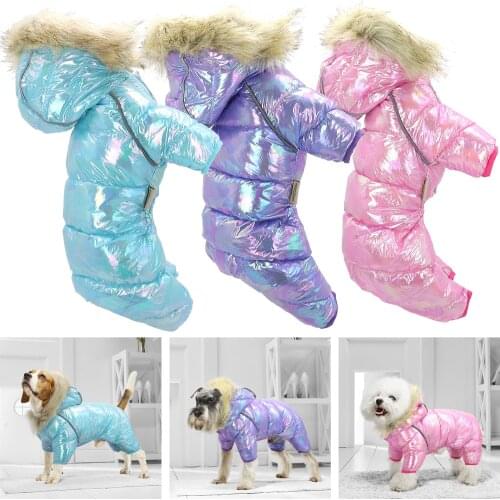 Howpetchic Pet Supplies