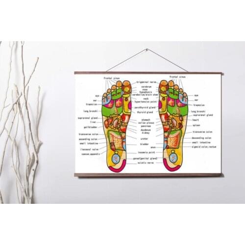 Reflexology Labeled Foot Chart Holistic Health Educational Art Canvas poster decoration painting with solid wood hanging scroll
