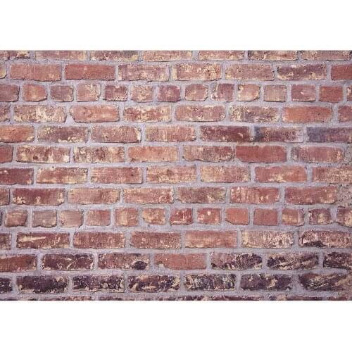 Old Reddish Brown Brick Wall Photography Backdrops Photo Background Vinyl Cloth 3D Customize for Photo Studio Photoshoot
