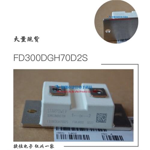 FD300DGH70D2S
