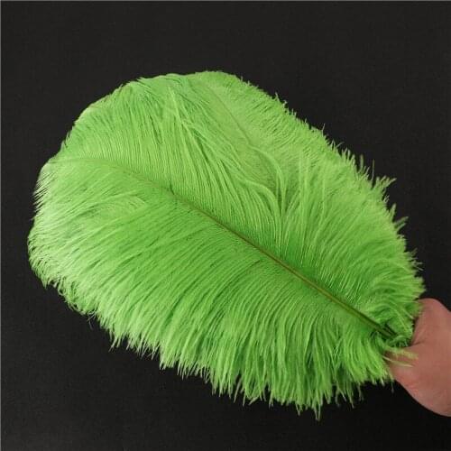 10-200pcs Apple Green Ostrich Feather 15-70CM DIY Feathers for Crafts Needlework Christmas Party Wedding Dress Decorations Pluma