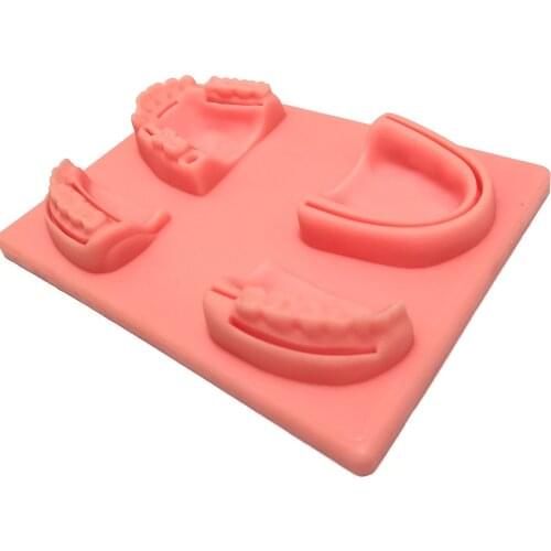 Dental Oral/Gum suture training module silicone periodontitis suture model