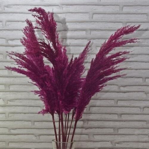 Mimosa Fuchsia Pampas 10Adet 100cm decoration artificial flower искусственный цветок