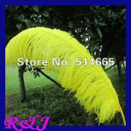 EMS Free shipping Wholesale 50PCS 60-65cm 24-26 inches yellow dyed ostrich drab feather ostrich plumes