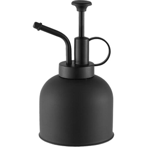 Watering can Spray bottle 300ml Mini Plant Flower Watering Can Sprayer Stainless Steel Vintage Spraying Pot Mister Garden Tool